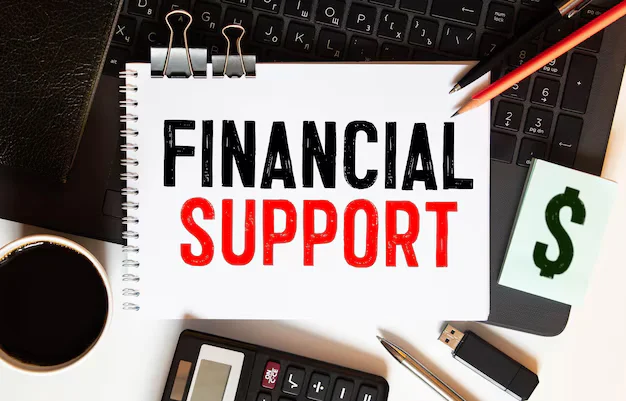 Financial Assistance and Support Programs for Ex-Felons