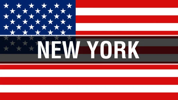 Government Grants for Felons in New York: Reentry Support Guide