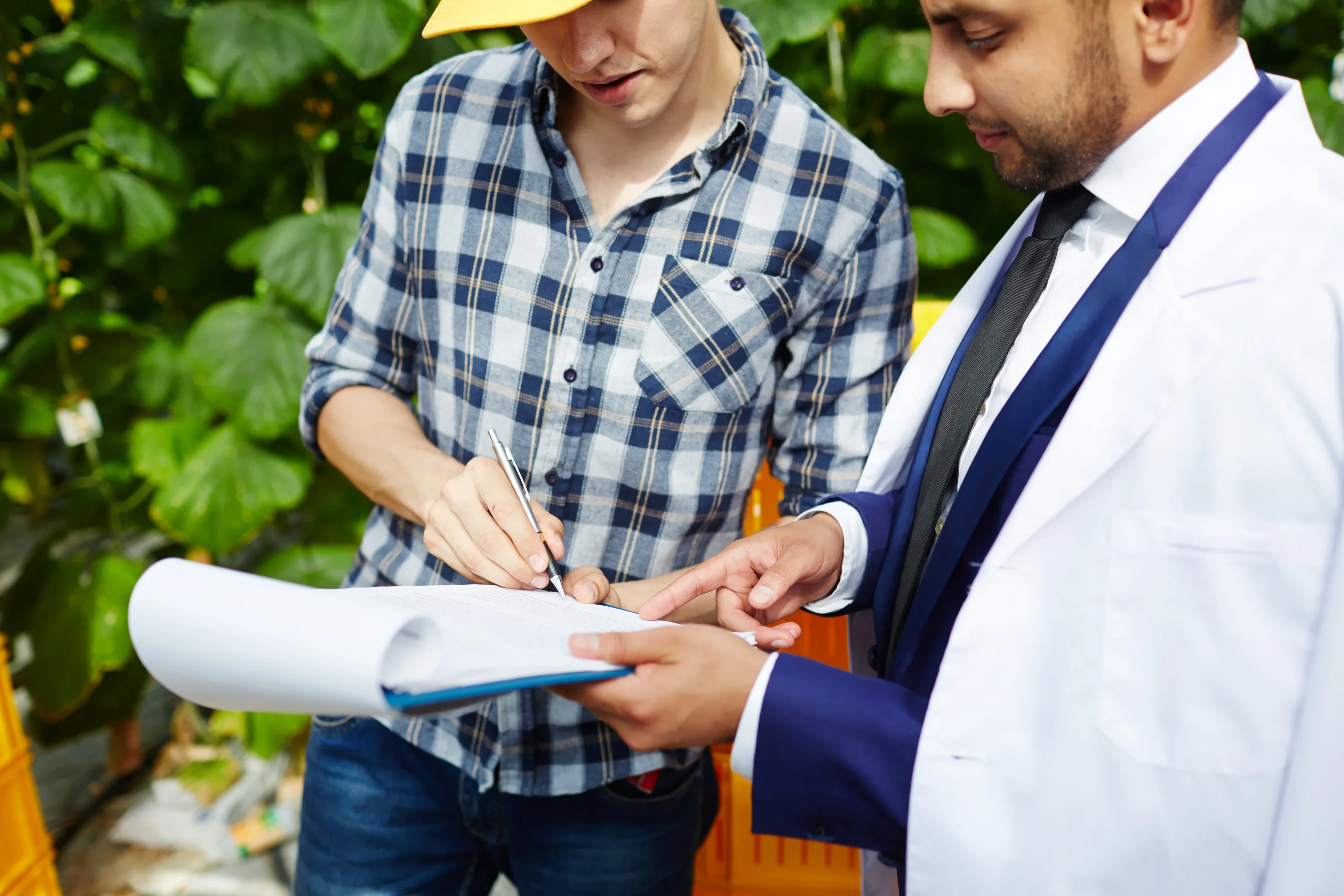The significance of restoration programs